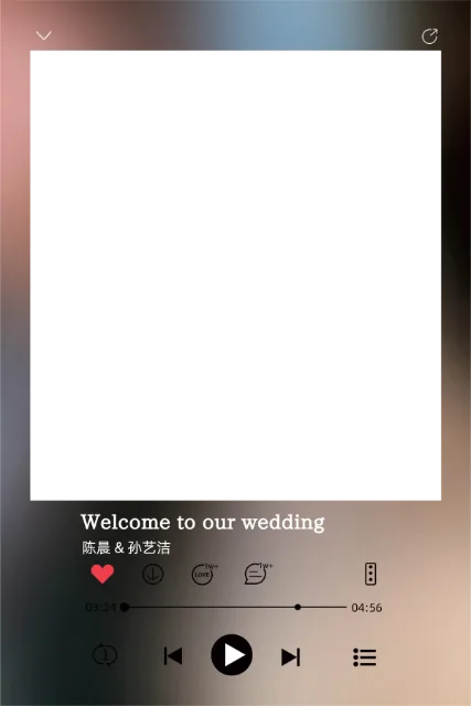 黑胶唱片 Photobooth 模板预览图
